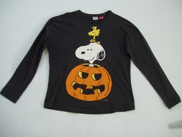 bluzka ZARA r 152 SNOOPY