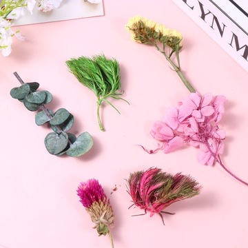 СУШЕНЫЕ ЦВЕТЫ ДЛЯ СВЕЧ И РУКОВОДСТВ - НАТУРАЛЬНЫЕ УКРАШЕНИЯ