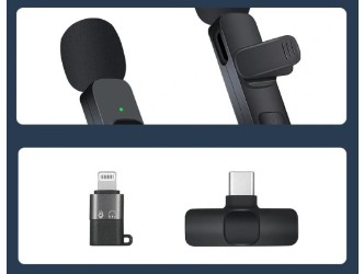 ПРОФЕССИОНАЛЬНЫЙ БЕСПРОВОДНОЙ МИКРОФОН С ЗАЖИМОМ ДЛЯ ГАЛСКА, 2X