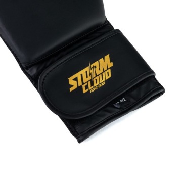 Боксерские перчатки StormCloud Rookie Black/Gold 16oz