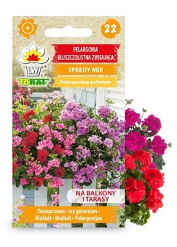 PELARGONIA ZWISAJĄCA NASIONA MIESZANKA MIX TORAF
