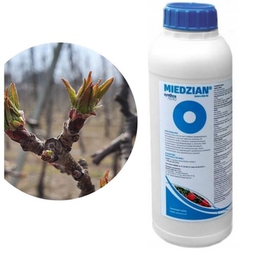 MIEDZIAN EXTRA 0,5l CHOROBY GRZYBOWE ZARAZA RAK