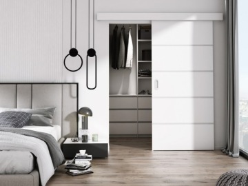 РАЗДВИЖНЫЕ ДВЕРИ С СЕРЕБРЯНЫМИ ПОЛОСАМИ 96 СМ