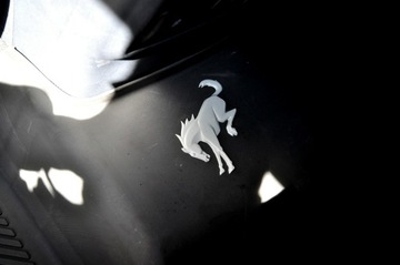 Ford Bronco V 2022 Ford Bronco 3.0 419KM Raptor Performance Przebieg, zdjęcie 21