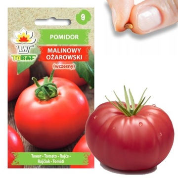 POMIDOR GRUNTOWY MALINOWY OŻAROWSKI NASIONA POMIDORA NA SOSY PRZETWORY