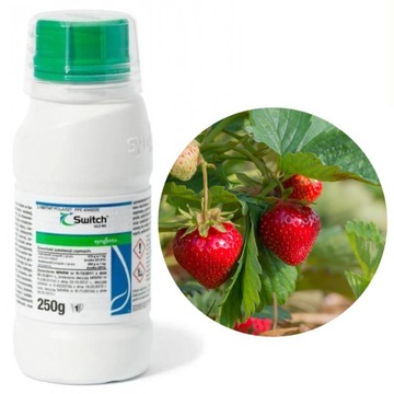 SWITCH 62.5 WG 250G GRZYBOBÓJCZY MALINA TRUSKAWKA OCHRONA OWOCÓW