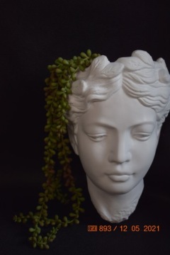 Подвесной вазон, крышка на голову