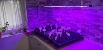 GROW LED 22W STRENGTH AND GROWTH лампа для выращивания растений