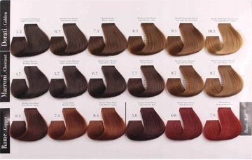 BE COLOR PAINT 100мл БЕЗ АММИАКА 12 минут + бесплатно