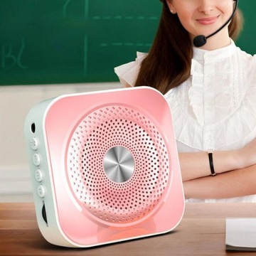 Портативный перезаряжаемый голосовой усилитель Rose Aureate