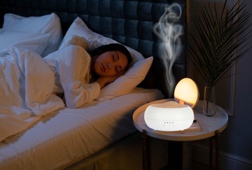 Лидер среди фирменных эко-масляных диффузоров AROMA ZEN.