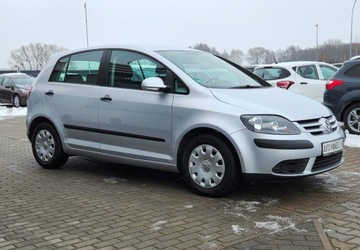 Volkswagen Golf Plus I 2005 Volkswagen Golf Plus 1,4 MPI Klima 1.4 Benzyna 75KM, zdjęcie 18