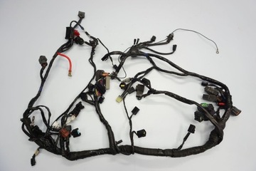 TRIUMPH DAYTONA 675 06-12 INSTALACJA WIĄZKA GŁÓWNA