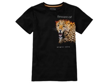 Bawełniany T-Shirt z super aplikacją - Tygrys 122