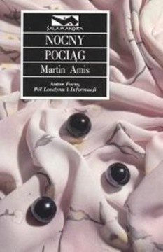 Nocny pociąg Martin Amis