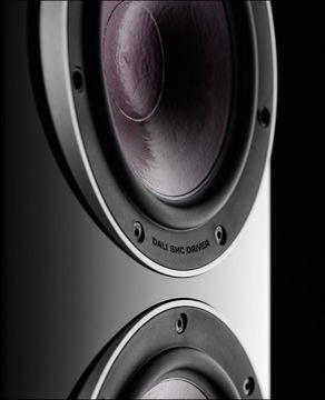 Дали Рубикон LCR | Черный | настенная колонна