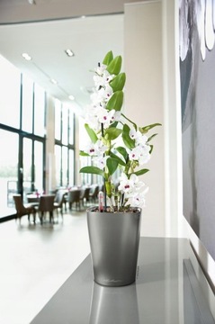 Самополивной вазон LECHUZA DELTINI WHITE GLOSS содержит Lechuza Mon