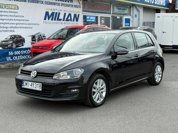 Volkswagen Golf VII Hatchback 3d 1.6 TDI BlueMotion 110KM 2015 Volkswagen Golf VII 1.6TDI 110KM Super Stan! 2015