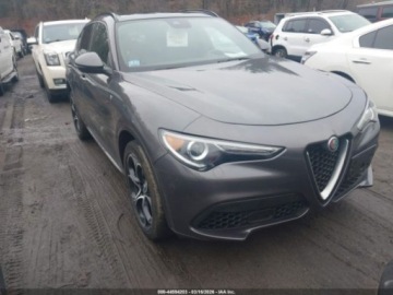 Alfa Romeo Stelvio SUV Facelifting 2.0 Turbo 280KM 2022 Alfa Romeo Stelvio 2022 r., 2,0L TI AWD 2.0 Benzyna 280KM, zdjęcie 2