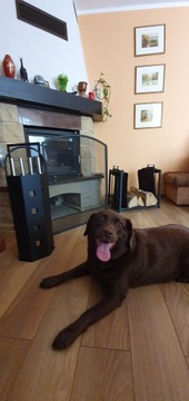 Каминный экран для защитной крышки камина XXL, защита решетки