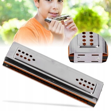 ЛЕБЕДЬ ДВУХСТОРОННЯЯ ГАРМОНИКА В тональности C И G