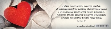 Zakładka 20 do książki I dam nowe serce i nowego