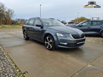 Skoda Octavia III Kombi Facelifting 1.6 TDI 115KM 2019 Skoda Octavia 1,6 TDI DSG navi alu kamera grz.fot elektryka oplacony 1.6, zdjęcie 3