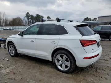 Audi Q5 II 2019 Audi Q5 2019r., Premium Plus, od ubezpieczalni 2.0 Benzyna 248KM, zdjęcie 2