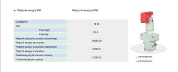 АВАРИЙНЫЙ ВЫКЛЮЧАТЕЛЬ REMA RNK 100