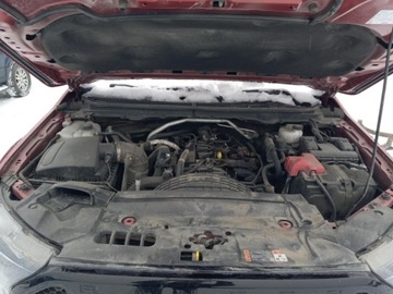 Ford Ranger VI 2023 Ford Ranger XL 2023 2.3l 2.3 Benzyna 270KM, zdjęcie 6