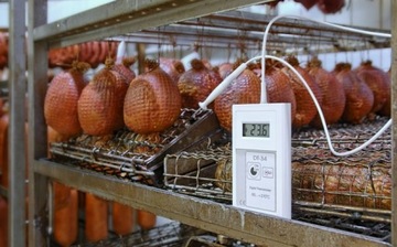 Termometr DT34 ze wzmocnioną sondą ST03 do 270°C