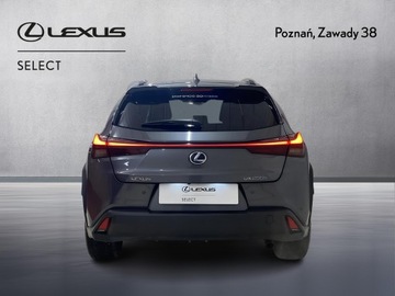 Lexus UX 2022 Lexus UX 250h GPF F Impression 2WD Lexus UX 250h G, zdjęcie 6