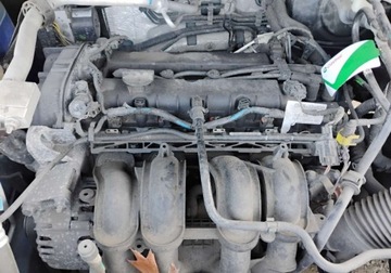 Ford Ecosport II SUV 1.5 Duratec Ti-VCT 112KM 2016 Ford EcoSport 2016r, 1.5 Benzyna. Uszkodzony lewy bok. Jezdzi. 1.5 Benzyna, zdjęcie 20