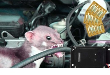 сильный автомобильный отпугиватель куниц + панель высокого напряжения!