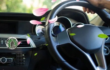 dyfuzor samochodowy do olejków zdrowy zapach piłka