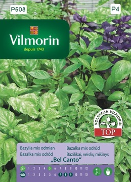 BAZYLIA MIX ODMIAN BEL CANTO 1g VILMORIN