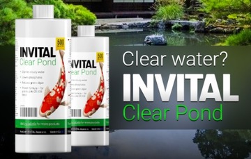 INVITAL Clear Pond 500ml