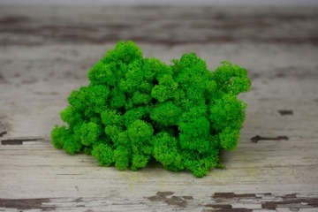 Мох крабовый МИКС ЦВЕТОВ 100 г ПРЕМИУМ