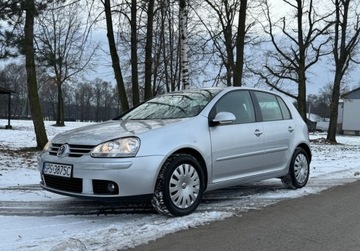 Volkswagen Golf V Hatchback 1.4 i 16V 75KM 2006 Volkswagen Golf Wersja Goal, zadbany 1.4 Benzyna 75KM