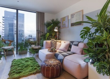 COMPO LAND OF FIXUS MONSTERS БАНАНОВАЯ ГРУДКА АЛОКАСИИ ШЕФЛЕРЫ СКИНДАПСУС ИЗ АРЕКИ