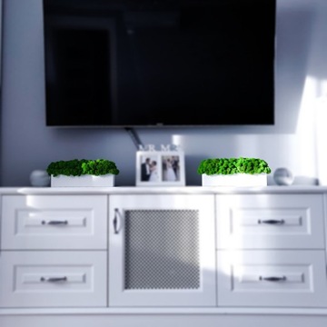 Цветочный горшок БЕЛЫЙ со СВЕТЛО-ЗЕЛЕНЫМ мхом, 30 см