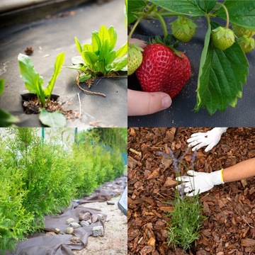 Агротекстиль Black Garden Anti-Weed Universal UV 50г 1,6х10 м