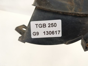 ПЕРЕДНЯЯ ЛЕВАЯ ФАРА TGB 250