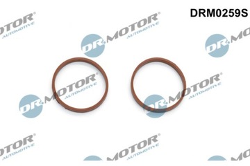 SADA TĚSNĚNÍ KOLEKTORU NASÁVÁCÍHO DR.MOTOR DRM0259S PL DISTRIBUCE