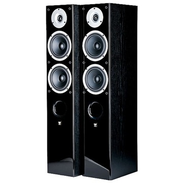 WILSON RAPTOR 5 НАПОЛЬНЫЕ HI-FI КОЛОНКИ
