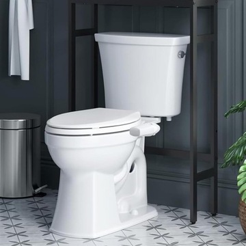 БИДЕ С СИДЕНЬЕМ ДЛЯ УНИТАЗА ДВОЙНАЯ НАСАДКА ДУШ САМООЧИЩАЮЩИЙСЯ