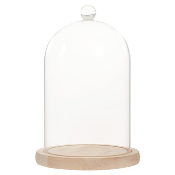Moss Terrarium Glass Display Cloche