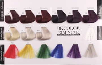 BE COLOR БЕЗ АММИАЧНАЯ КРАСКА 12 МИНУТ 1.11 100мл