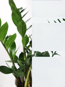 Статическая оконная пленка, молочно-белые полосы, бесклеевое оформление окон