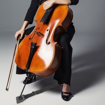 ЗАЩИТНЫЙ НАПОЛЬНЫЙ TIP STOP CELLO CELLO